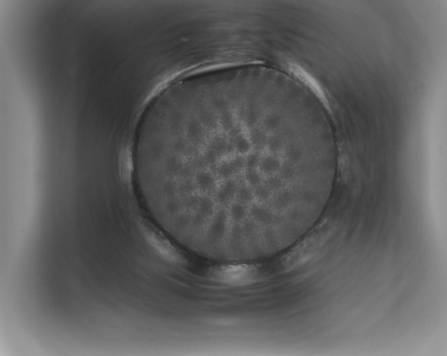 X0000111630059200907171535