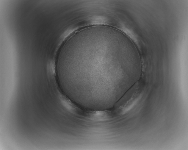 X0000111630060200907171535