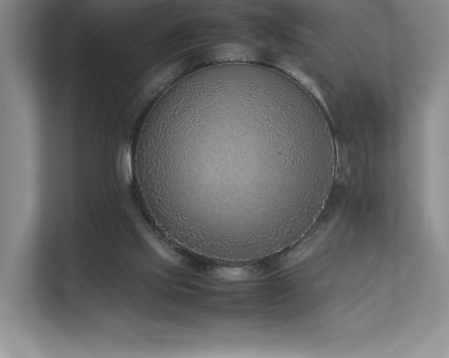 X0000111630061200907171535