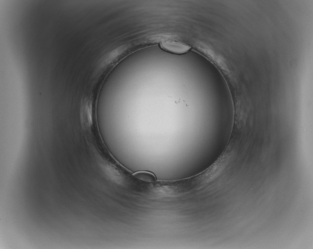 X0000111630062200907171535