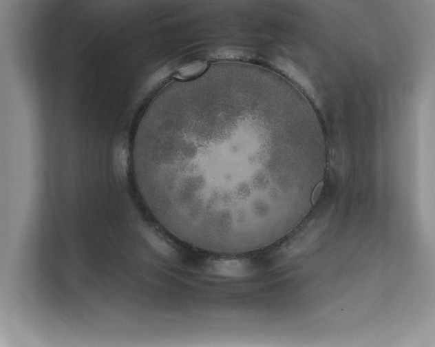 X0000111630063200907171535