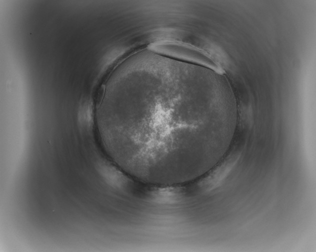 X0000111630064200907171535