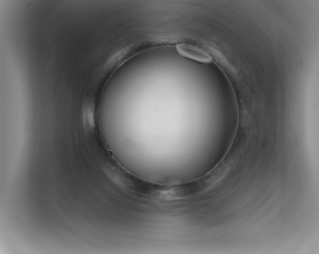 X0000111630068200907171535