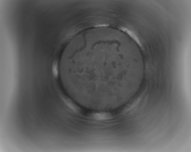 X0000111630069200907171535