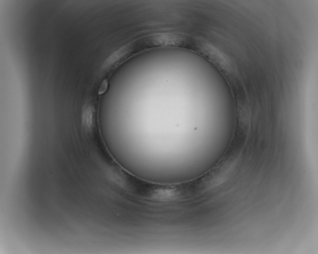 X0000111630071200907171535