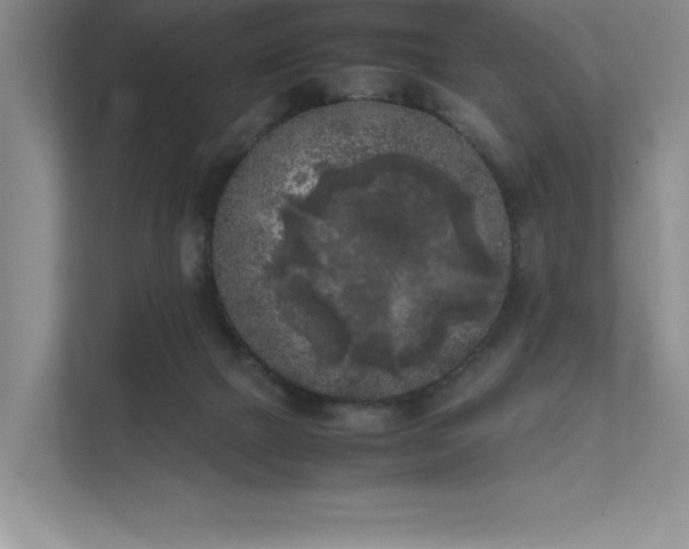 X0000111630073200907171535