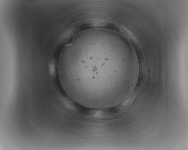 X0000111630074200907171535