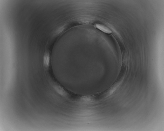 X0000111630076200907171535