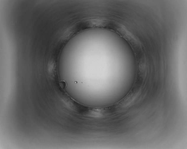 X0000111630079200907171535