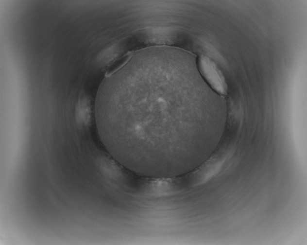 X0000111630080200907171535