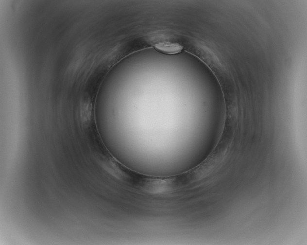 X0000111630081200907171535