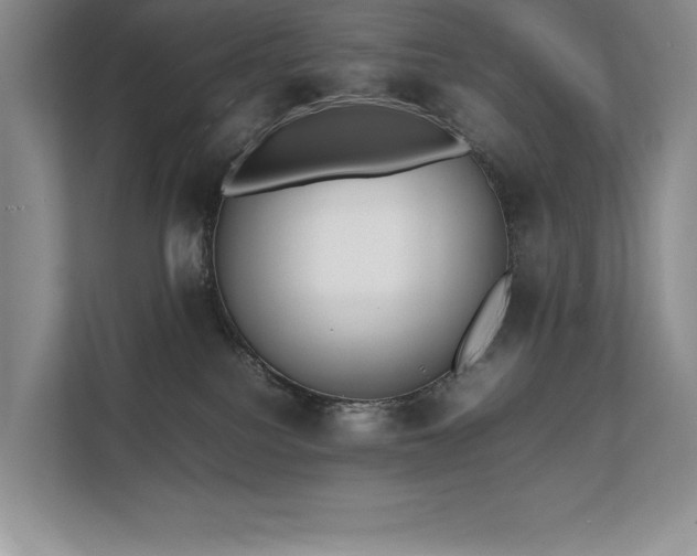 X0000111630088200907171535