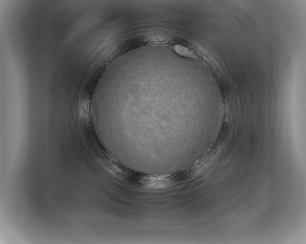 X0000111630093200907171535