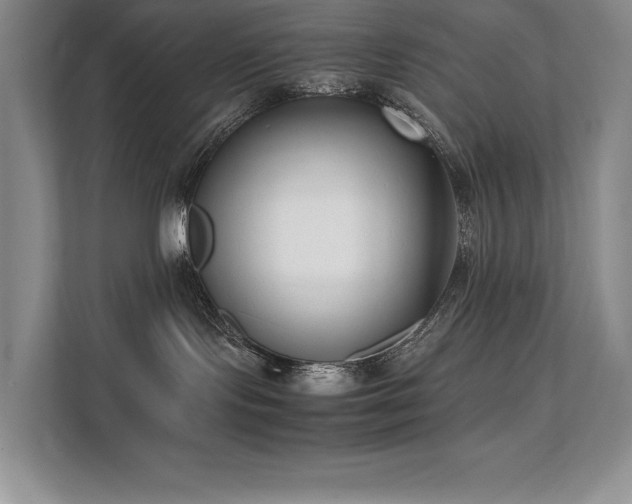 X0000111630095200907171535