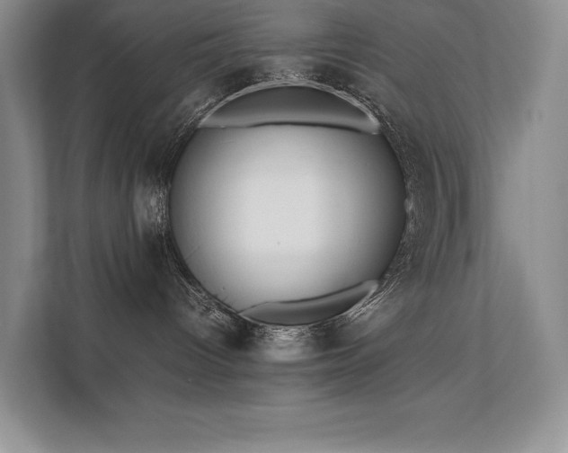 X0000111630096200907171535