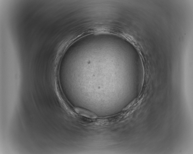 X0000111630097200907171535