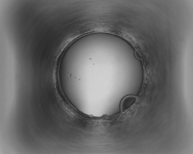 X0000111630098200907171535