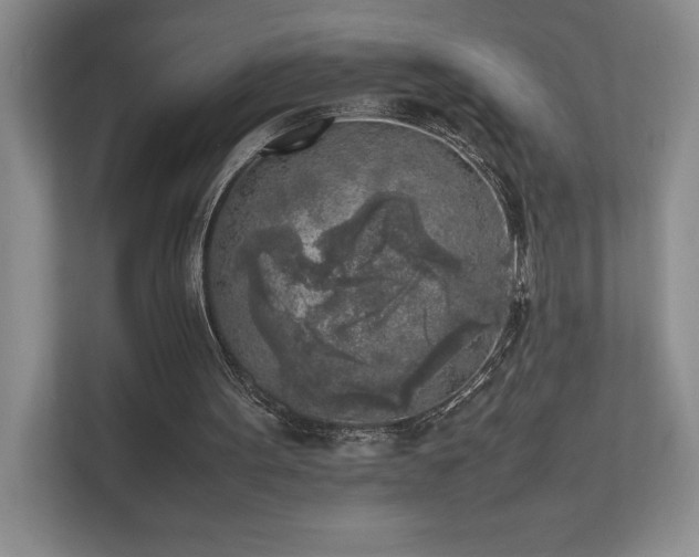 X0000111630099200907171535