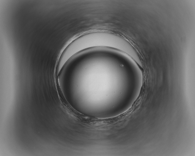 X0000111630100200907171535