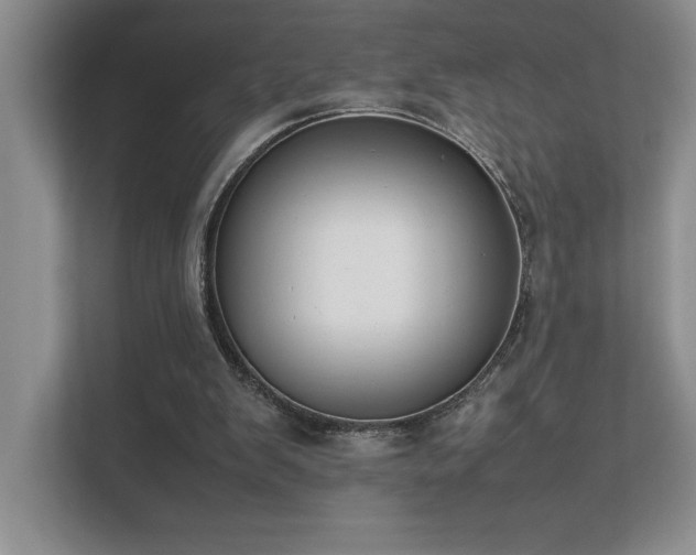 X0000111630103200907171535