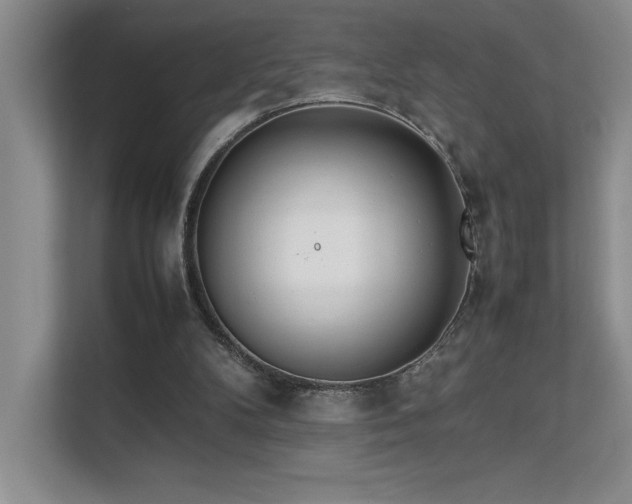 X0000111630104200907171535