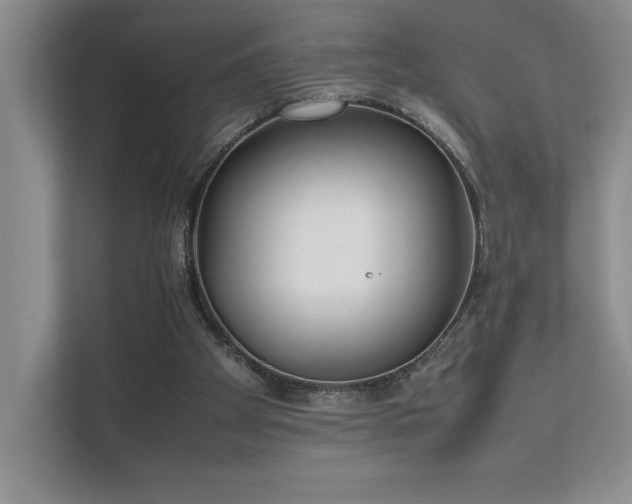 X0000111630105200907171535