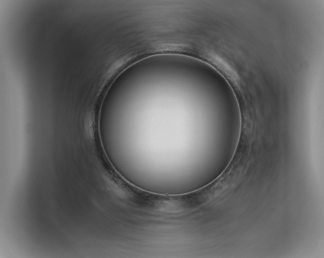 X0000111630107200907171535