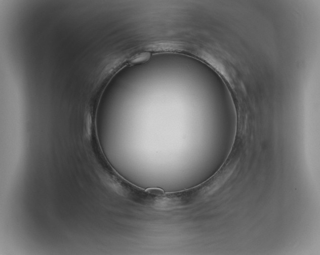 X0000111630109200907171535