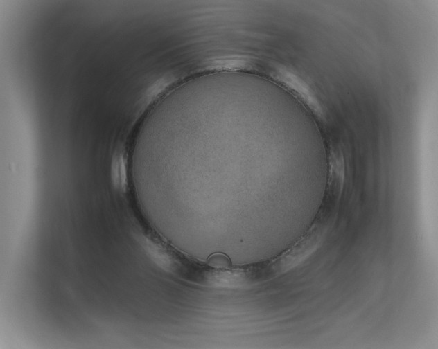 X0000111630110200907171535