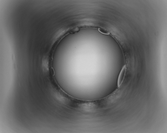 X0000111630112200907171535