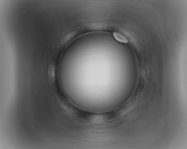 X0000111630115200907171534