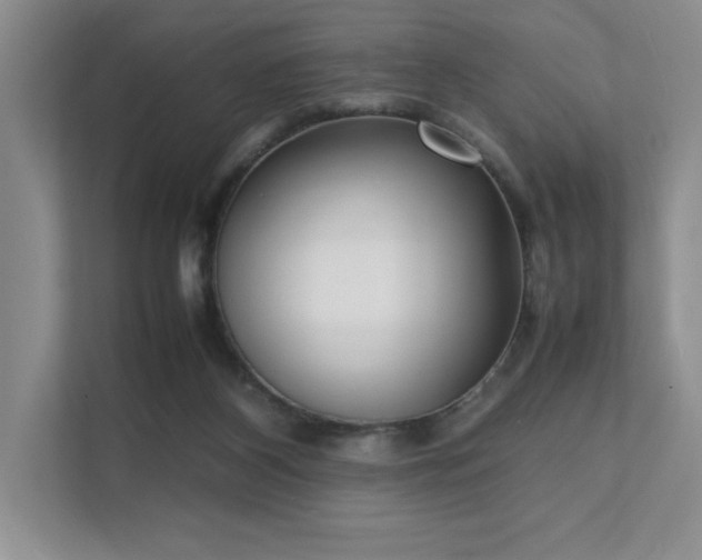 X0000111630116200907171534