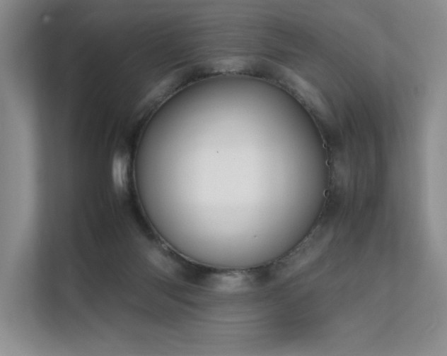 X0000111630118200907171534