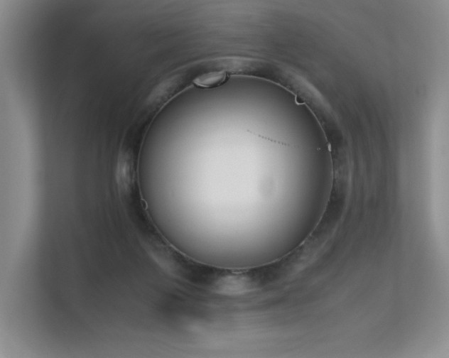 X0000111630119200907171534