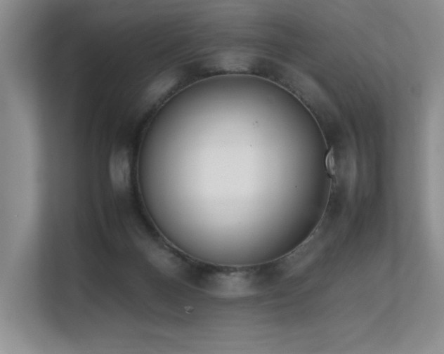 X0000111630120200907171534