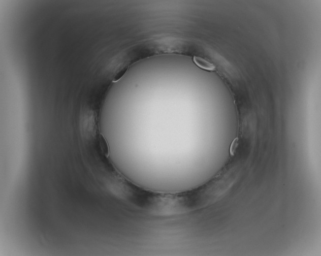 X0000111630121200907171534