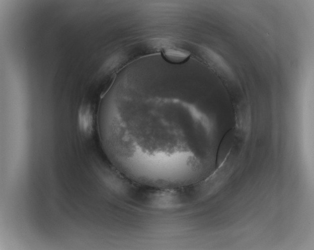 X0000111630124200907171534