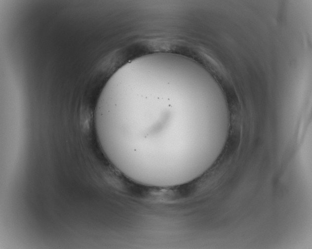 X0000111630125200907171534