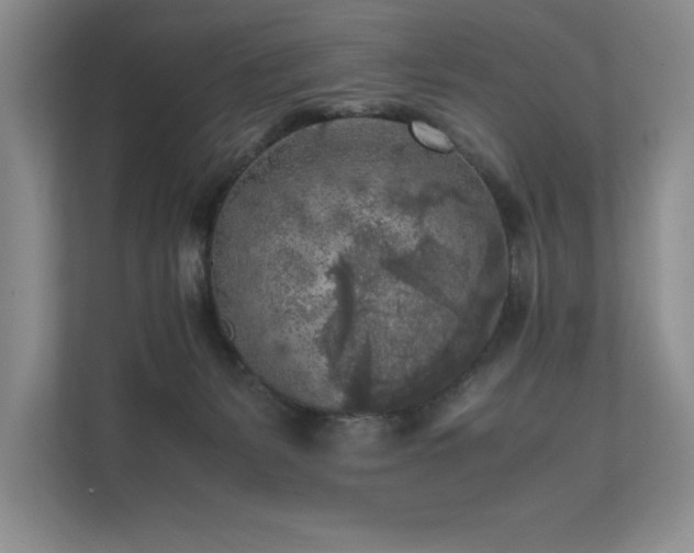 X0000111630127200907171534