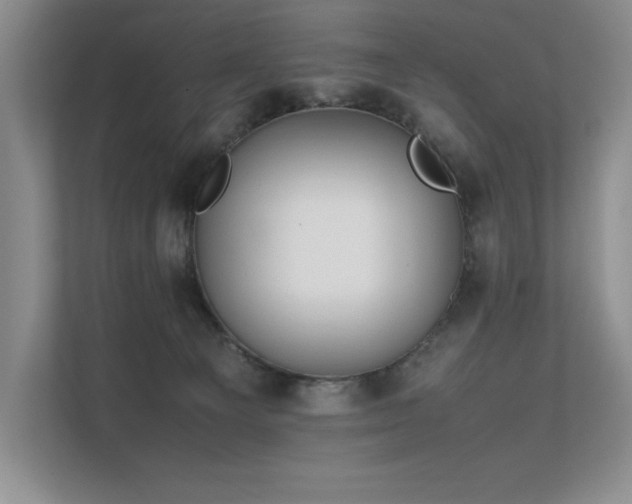 X0000111630129200907171534