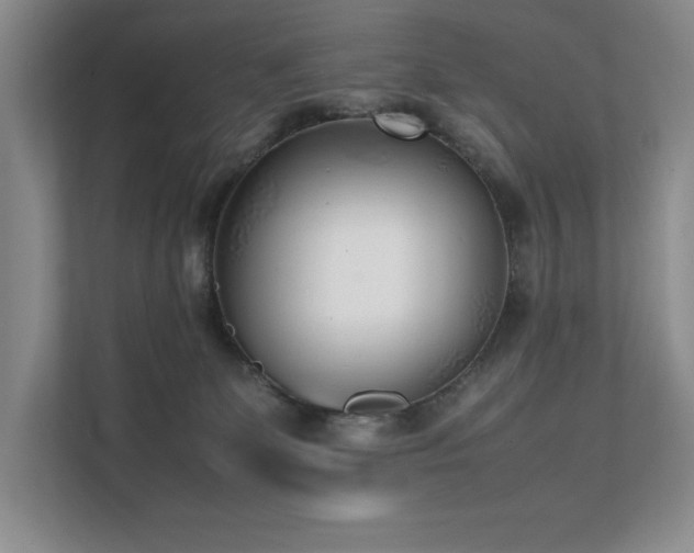 X0000111630131200907171534