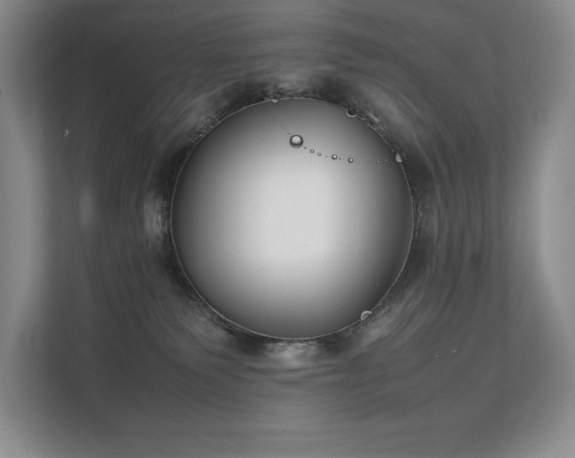 X0000111630135200907171534