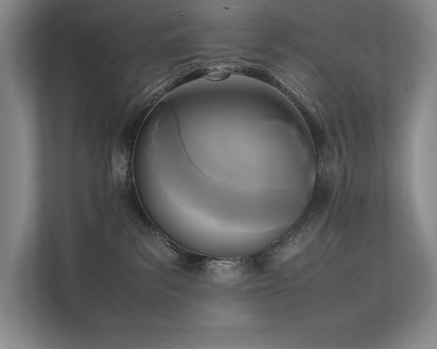 X0000111630139200907171534