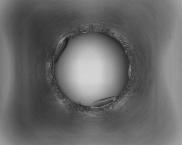 X0000111630144200907171534