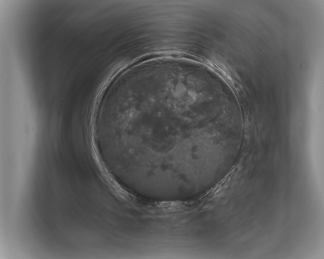 X0000111630145200907171533