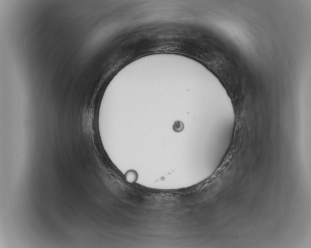 X0000111630146200907171533