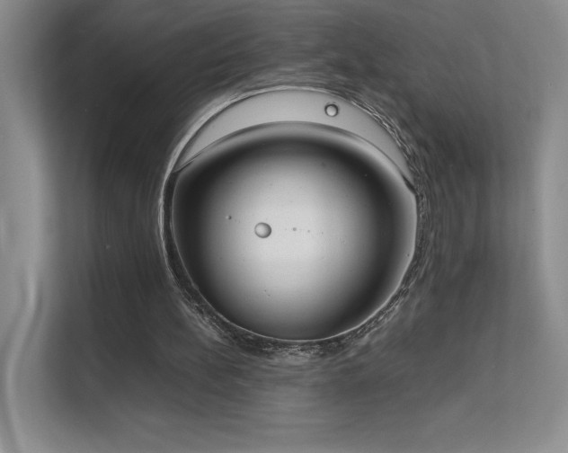 X0000111630148200907171534