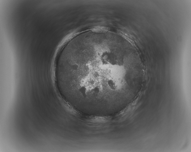 X0000111630149200907171534