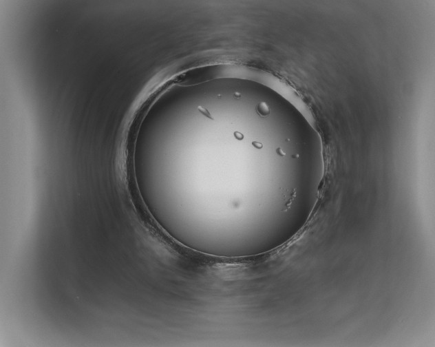 X0000111630150200907171534