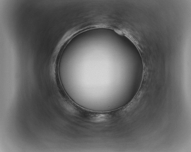 X0000111630151200907171534